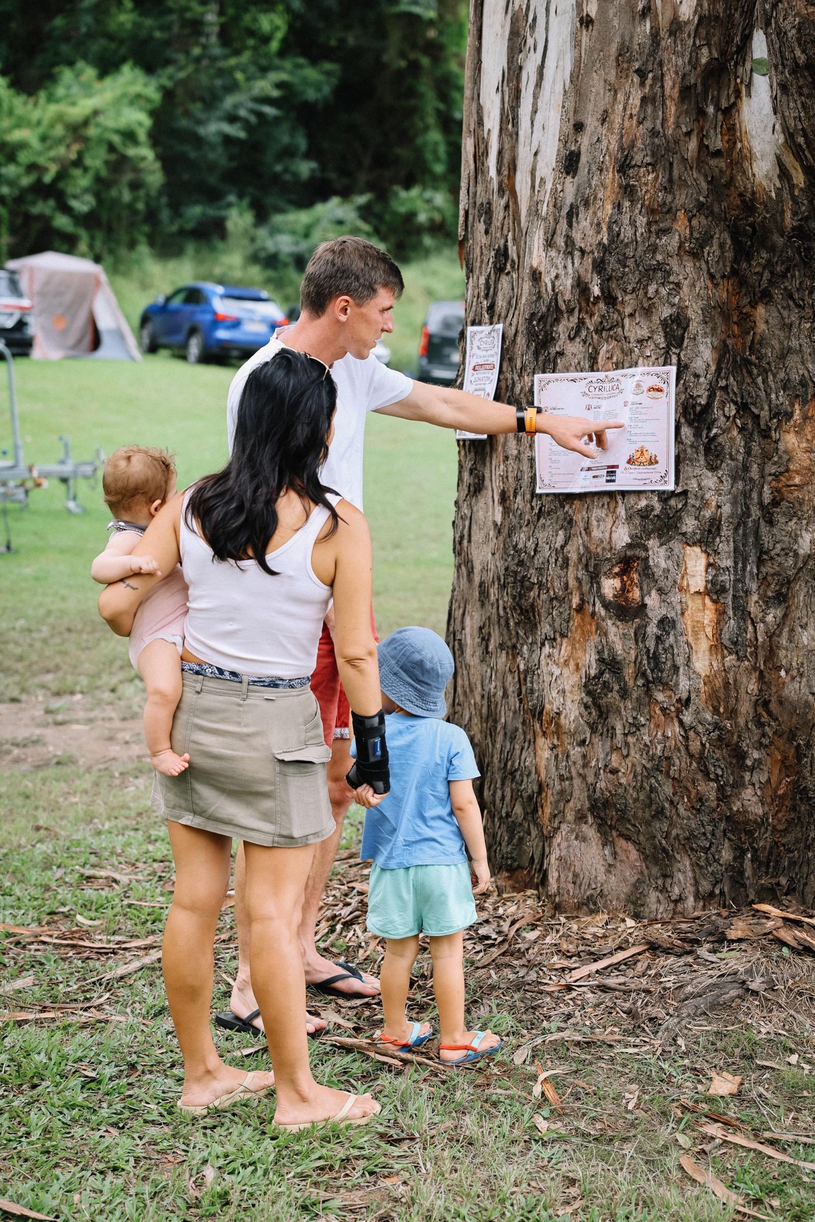 Family climbing trees